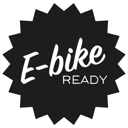 E-bike_ready_black